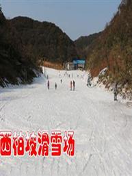 西柏坡滑雪门票 西柏坡滑雪门票
