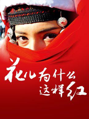 天利策划·花儿为什么这样红-中国歌坛经典歌